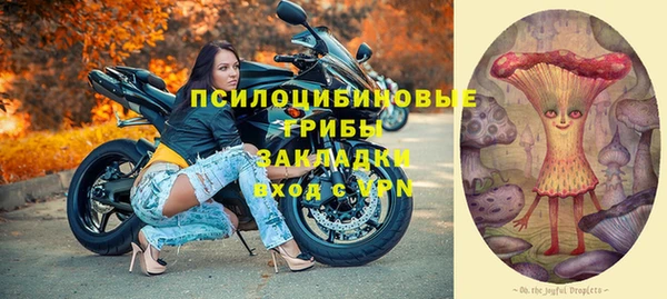 прущие грибы Абаза
