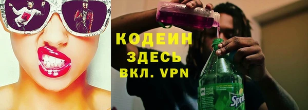 прущие грибы Абаза