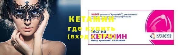 прущие грибы Абаза