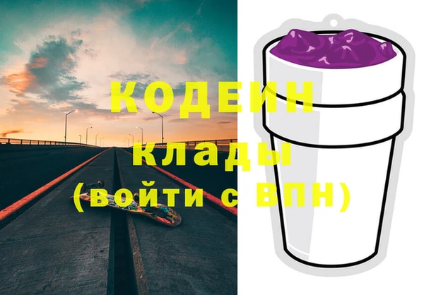 прущие грибы Абаза