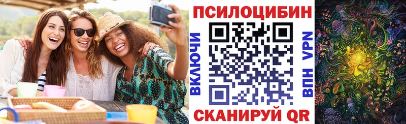 гидра   наркота  Кадников  Псилоцибиновые грибы ЛСД 